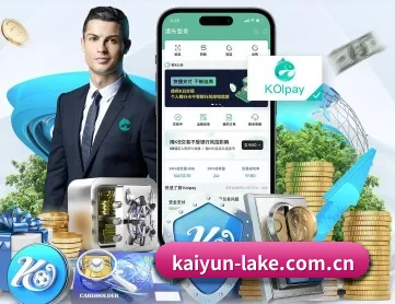 kaiyun APP 深度功能