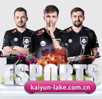 kaiyun APP 界面